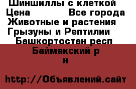 Шиншиллы с клеткой › Цена ­ 8 000 - Все города Животные и растения » Грызуны и Рептилии   . Башкортостан респ.,Баймакский р-н